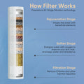 Cobbe DS Filtered Shower Head Cobbe